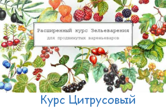 [Ирина Таро] Большой Цитрусовый курс (2023)_0.png